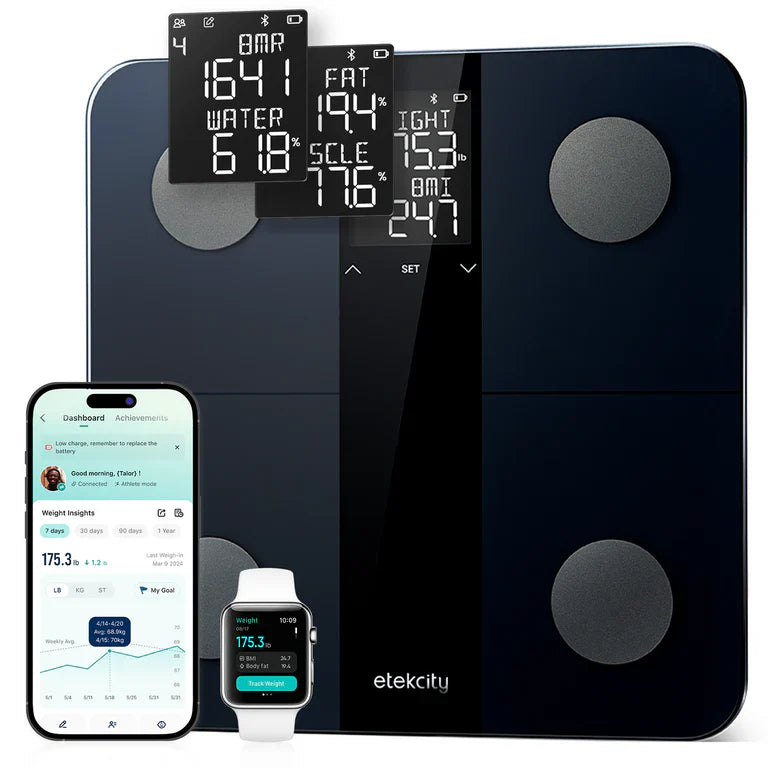 Fitness Scales