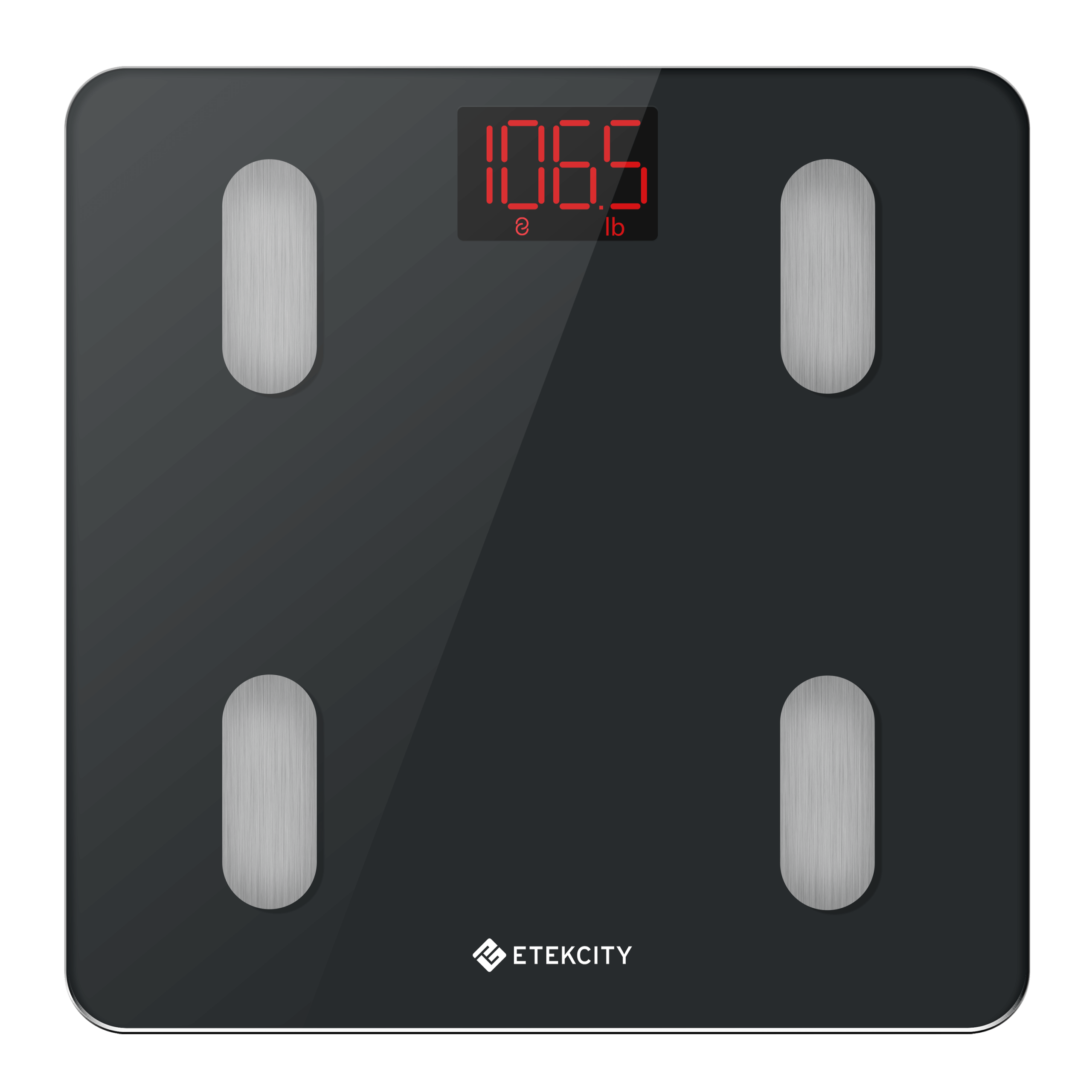 ESF14 Smart Fitness Scale