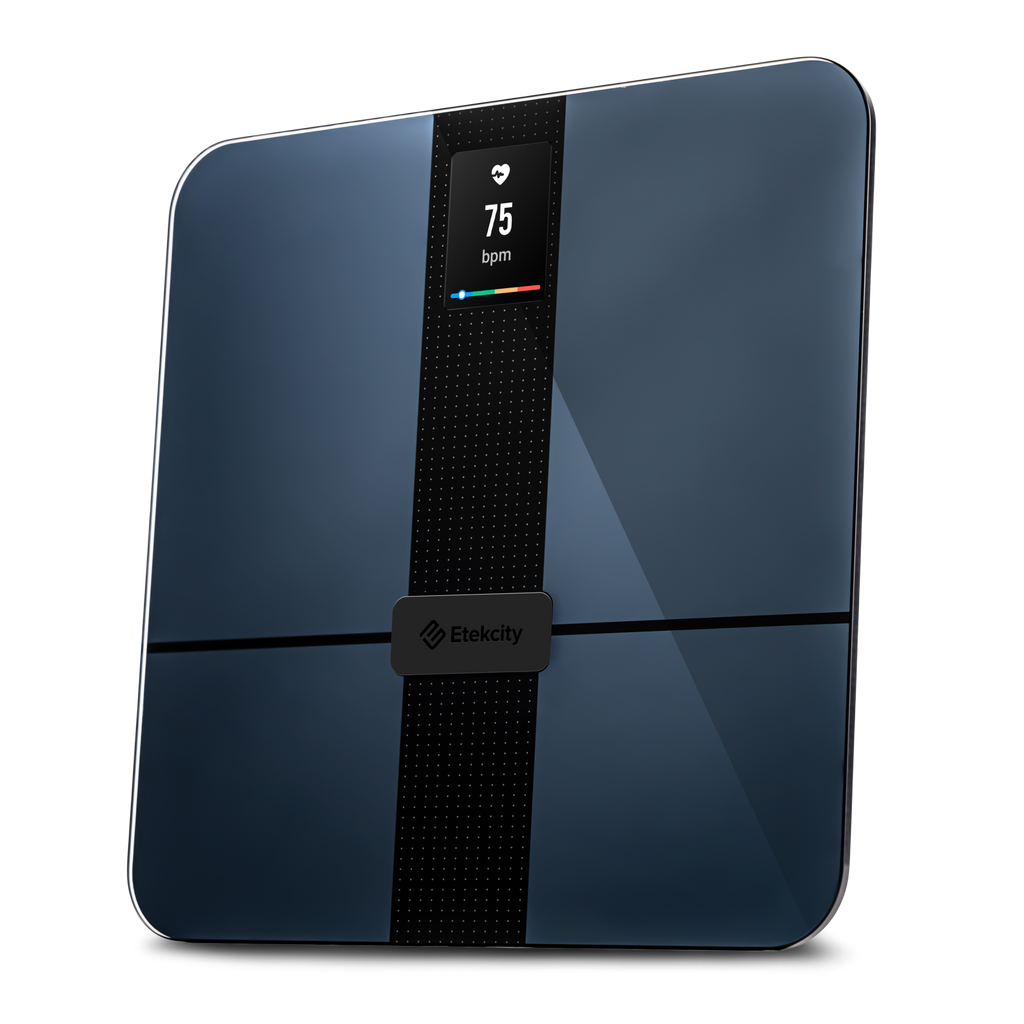 HR Smart Fitness Scale