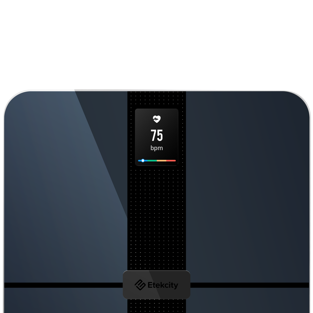 HR Smart Fitness Scale