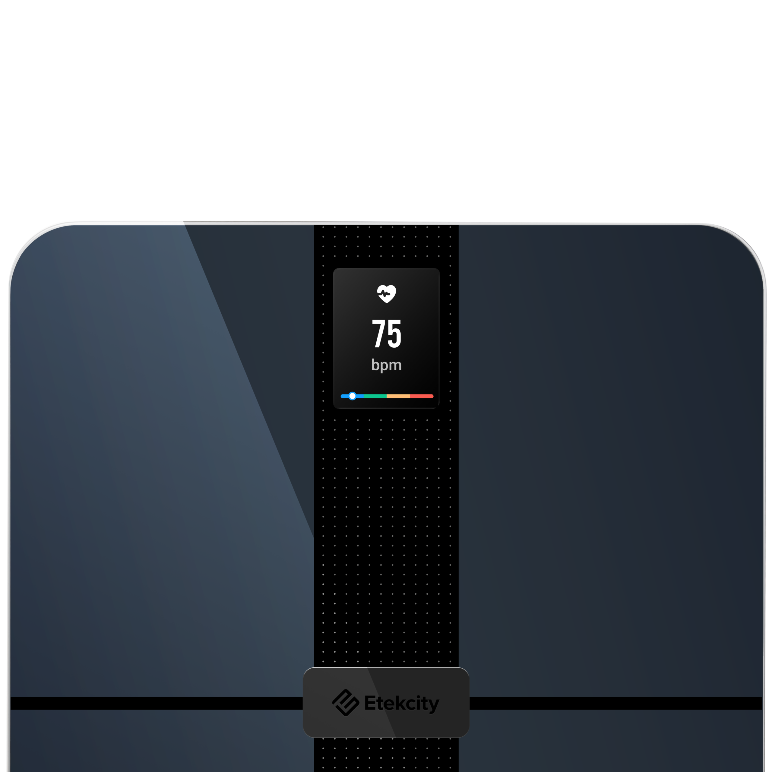 HR Smart Fitness Scale